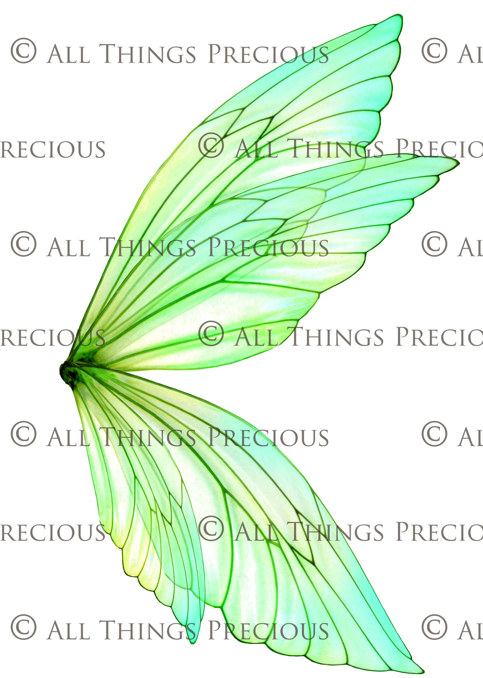 PRINTABLE FAIRY WINGS Set 7 Scrapbooking Clipart Digital - Etsy