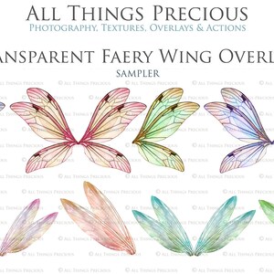 Digital Overlays for Photographers. Fairy Wings. Fairy Wing Overlays. High resolution, fine art digital assets for creating fantasy art.  Png overlay with transparent background. See through real wings for an authentic effect. Bundle. Pixie Wings.