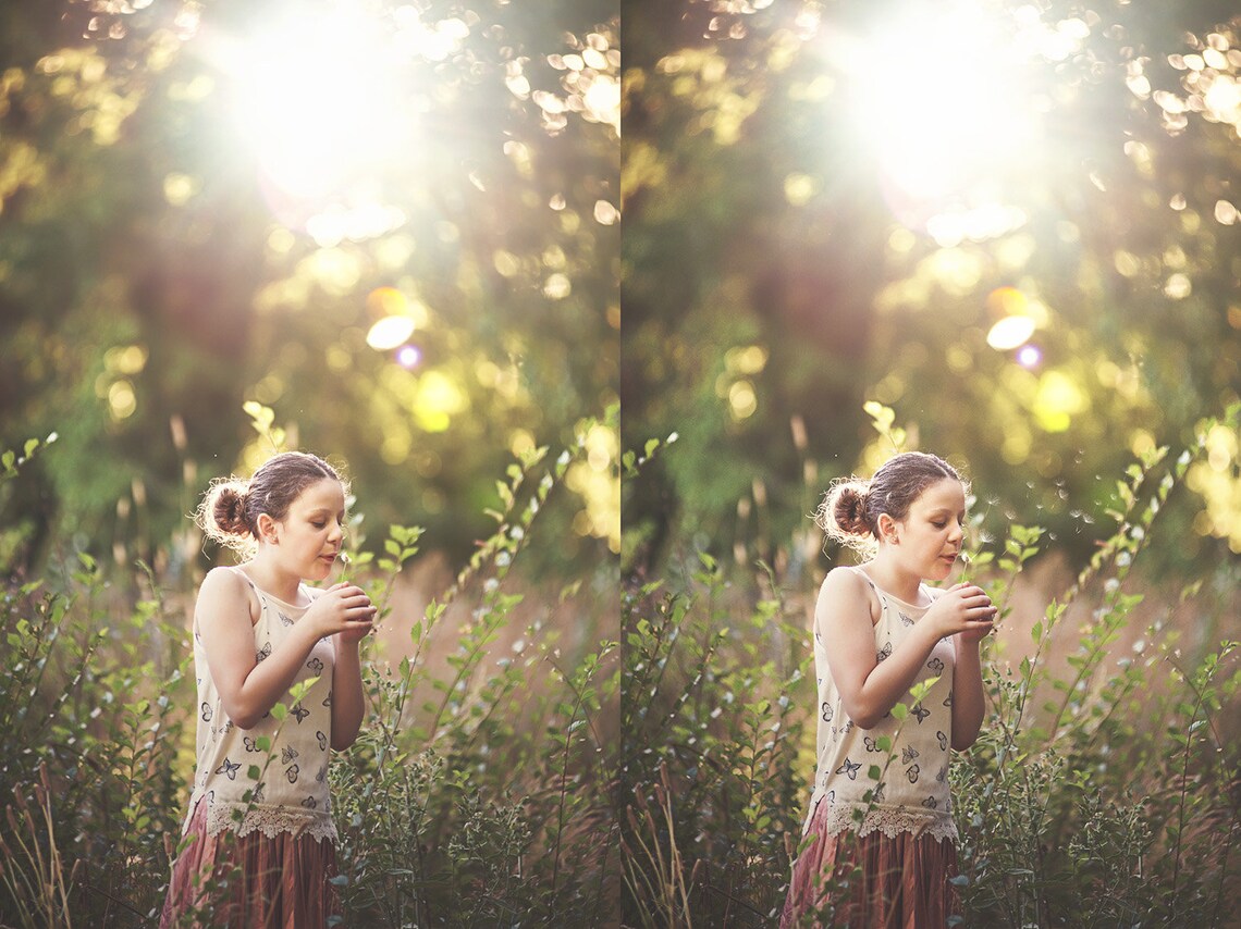 18 DANDELION Wishes OVERLAYS and 3 high res Photoshop BRUSHES image 6