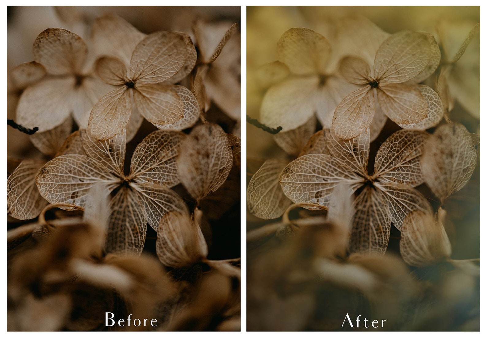 Png OVERLAYS - Tint Vignette No. 5 / Photo Overlay, Texture Overlay ...