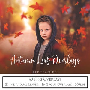 40 Digital Png LEAF OVERLAYS, Autumn, FALL Png Leaves, Photography, Scrapbooking, High Res Overlay, Photoshop Clipart