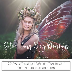 20 FAIRY WINGS- SILVER Gilded Set 2 / Transparent  Wings, Digital Wing, Png Faery Clipart, Photoshop Overlays, Photography Overlay, High Res