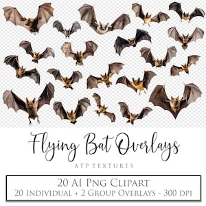 PNG CLIPART, Nakładki nietoperzy, Halloween, Fotografia, Nakładka na zdjęcia, Photoshop, Cyfrowy scrapbooking, Sublimacja, Sztuka AI, Jesień, Straszny