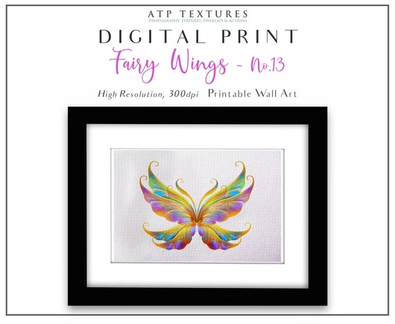 Butterfly Print Fairy Wings Colorful Insect Poster Wall Art Canvas Painting Deco 