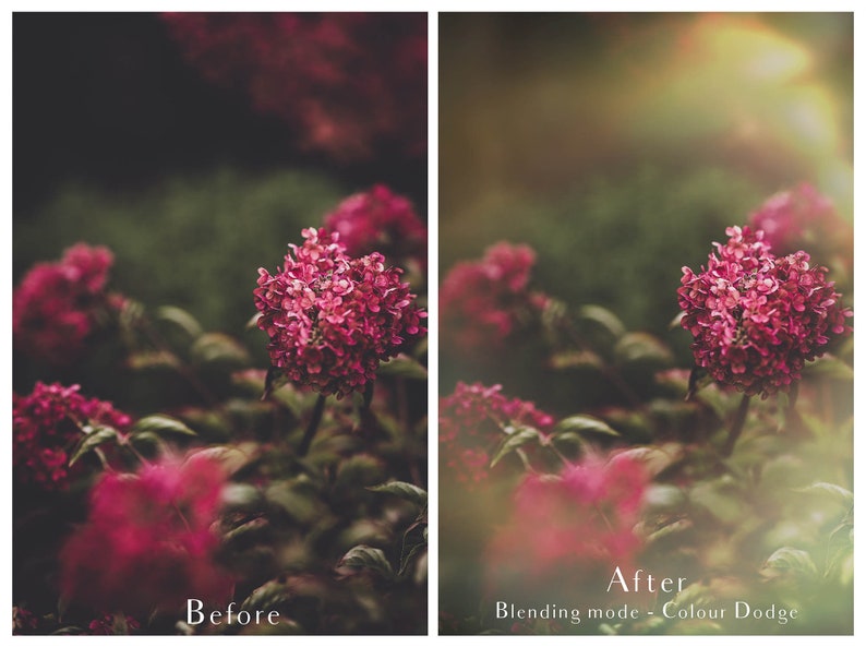 Png OVERLAYS - Tint Vignette No. 3 / Photo Overlay, Texture Overlay ...
