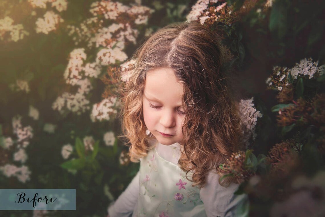 28 BUBBLE OVERLAYS / High Resolution Digital Photography image 8