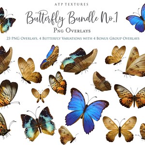Vintage Floral BUTTERFLY CLIPART PNG Set 4 Butterflies Card Making Wall Print Digital Scrapbooking Scrapbook Old Masters Flowers