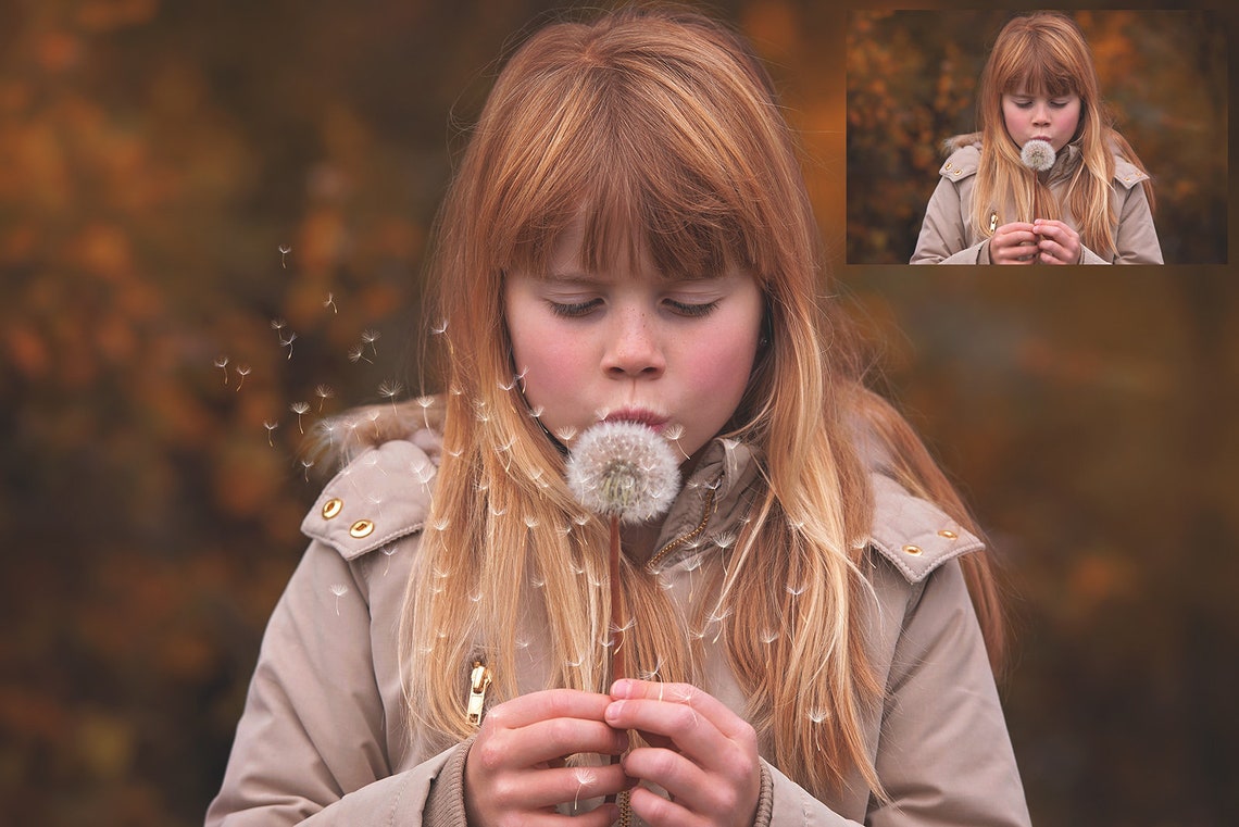 18 DANDELION Wishes OVERLAYS and 3 high res Photoshop BRUSHES image 8