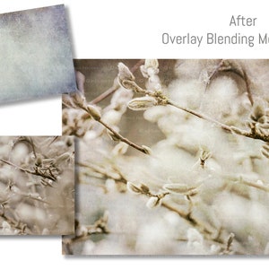 High resolution Textures. Fine Art Textures for photographers. Create digital backgrounds for Scrapbooking, Digital Paper, Printed Backdrops for studio or Photo overlays. Quality Texture Overlays. Grunge, Canvas, Vintage, Old Photo. ATP Textures