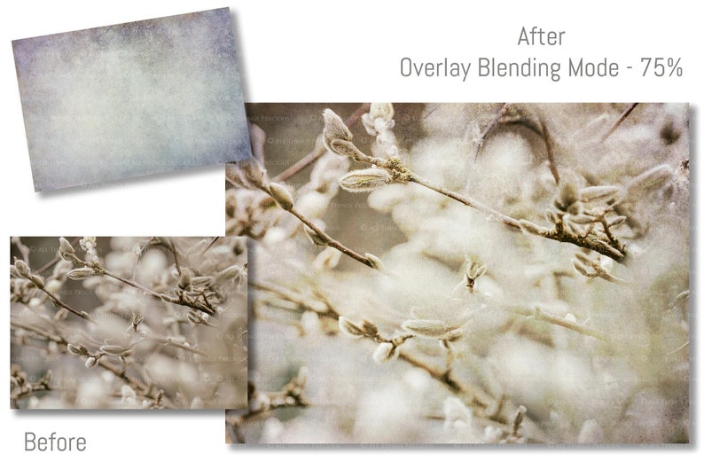 High resolution Textures. Fine Art Textures for photographers. Create digital backgrounds for Scrapbooking, Digital Paper, Printed Backdrops for studio or Photo overlays. Quality Texture Overlays. Grunge, Canvas, Vintage, Old Photo. ATP Textures