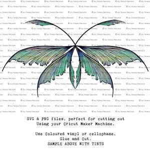SVG, PNG Clipart, Fairy Wings, for Cricut and Silhouette Machine. Cut out and make real fairy wings. For Costumes, Halloween, Cosplay, Adult or Child size. Use in Wedding invites, Sublimation print or decorations. Faerie Wings, Butterfly, Dragonfly.