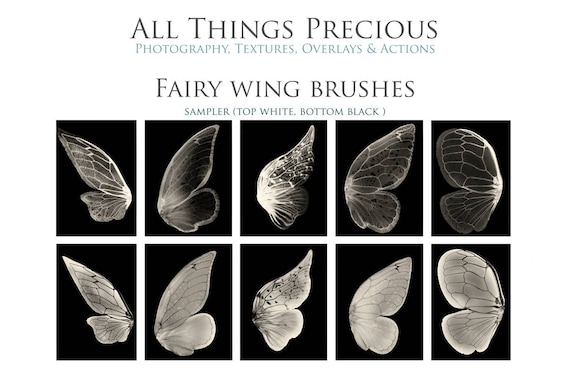 21 Fine Art Digital FAERY WINGS And SPARKLES Photoshop Brushes Etsy