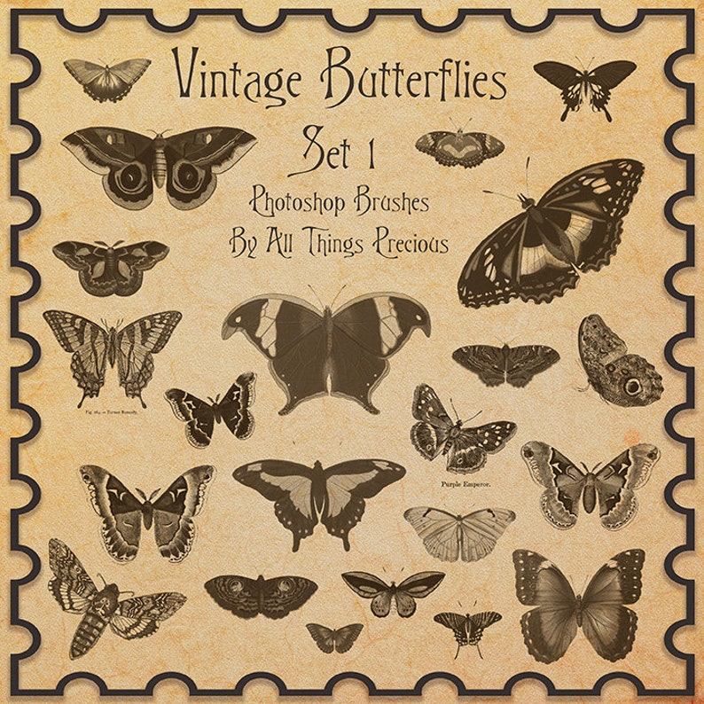 VINTAGE Butterfly Photoshop Brushes Set 1 / Digital Scrapbooking, Ornamental Frames, Photography Brushes, High Resolution image 4