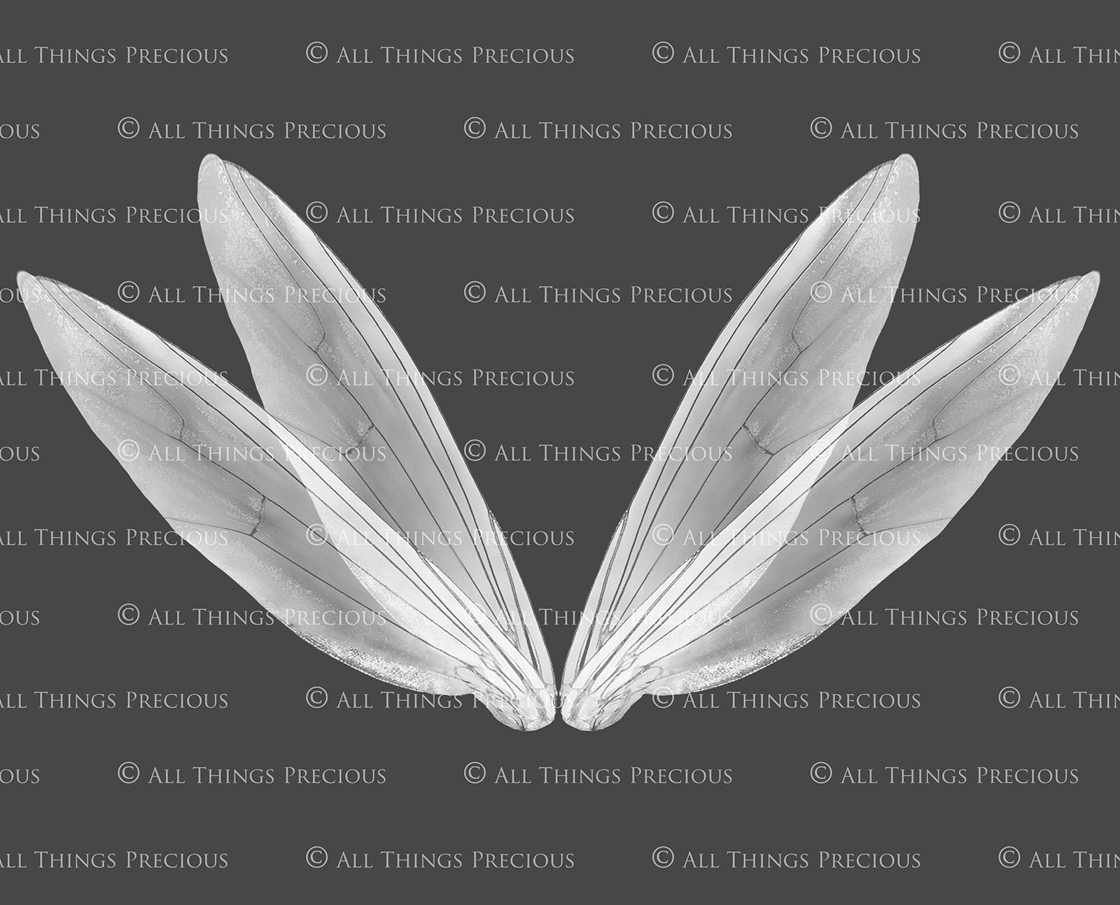 Clarion Light Up Fairy Wings Overlays Fairy Wings PNG files for photo edit  – Fancy Fairy Wings & Things
