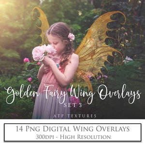 14 GOLD Fairy Wings - Png Overlays, Set 3 / Photo Overlay, Angel Wing, Digital, Photography, Photoshop, Scrapbooking