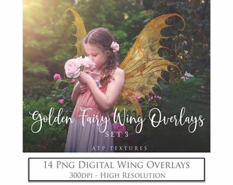May include: A set of 14 digital fairy wing overlays in PNG format. The wings are golden with a sparkly texture. The overlays are high resolution and 300 DPI.  Golden Fairy Wing Overlays Set 3 ATP Textures 14 PNG Digital Wing Overlays 300DPI - High Resolution