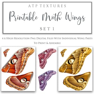 Druckbare Motte FLÜGEL Set 1 - Clipart Png-Druck, Feenkostüm, Schmetterlingsflügel, Puppe, Ohrringe, Scrapbooking, Ai Art, ATP Texturen