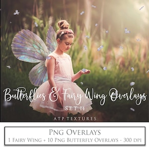 PNG Overlays, FEE WINGS und Schmetterlinge Set 14 / Foto Overlay, Schmetterling Clipart, Photoshop, Fotografie bearbeiten, Ai Art, Digital