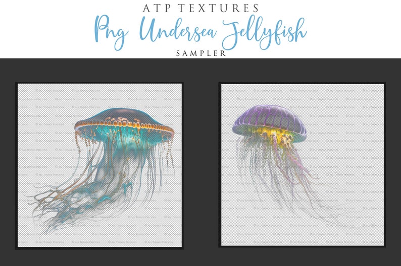 Jellyfish overlays for your Fantasy Edits. Digital Png clipart overlays. Photography, photoshop editing, Child photo art. Fine Art High resolution digital download. 300dpi. Digital Assets. Graphic Design. Ocean Background.  Underwater Scene
