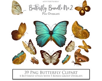 BUTTERFLY OVERLAYS Set 2 - Digital Overlay, Fine Art Photography, Scrapbooking, Photoshop, Butterflies Art, Digital Clipart, Photo Edit