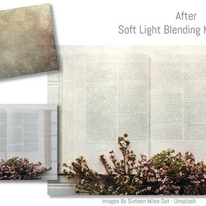 High resolution Textures. Fine Art Textures for photographers. Create digital backgrounds for Scrapbooking, Digital Paper, Printed Backdrops for studio or Photo overlays. Quality Texture Overlays. Grunge, Canvas, Vintage, Old Photo. ATP Textures