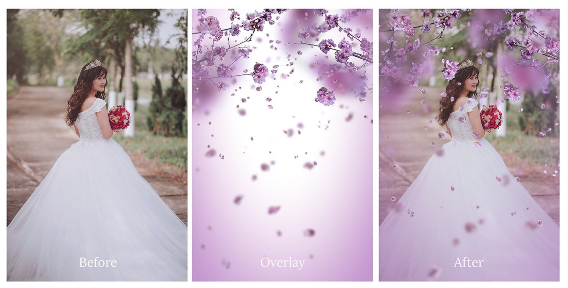 40 SPRING BLOSSOM Overlays / Photoshop Overlays Falling image 2