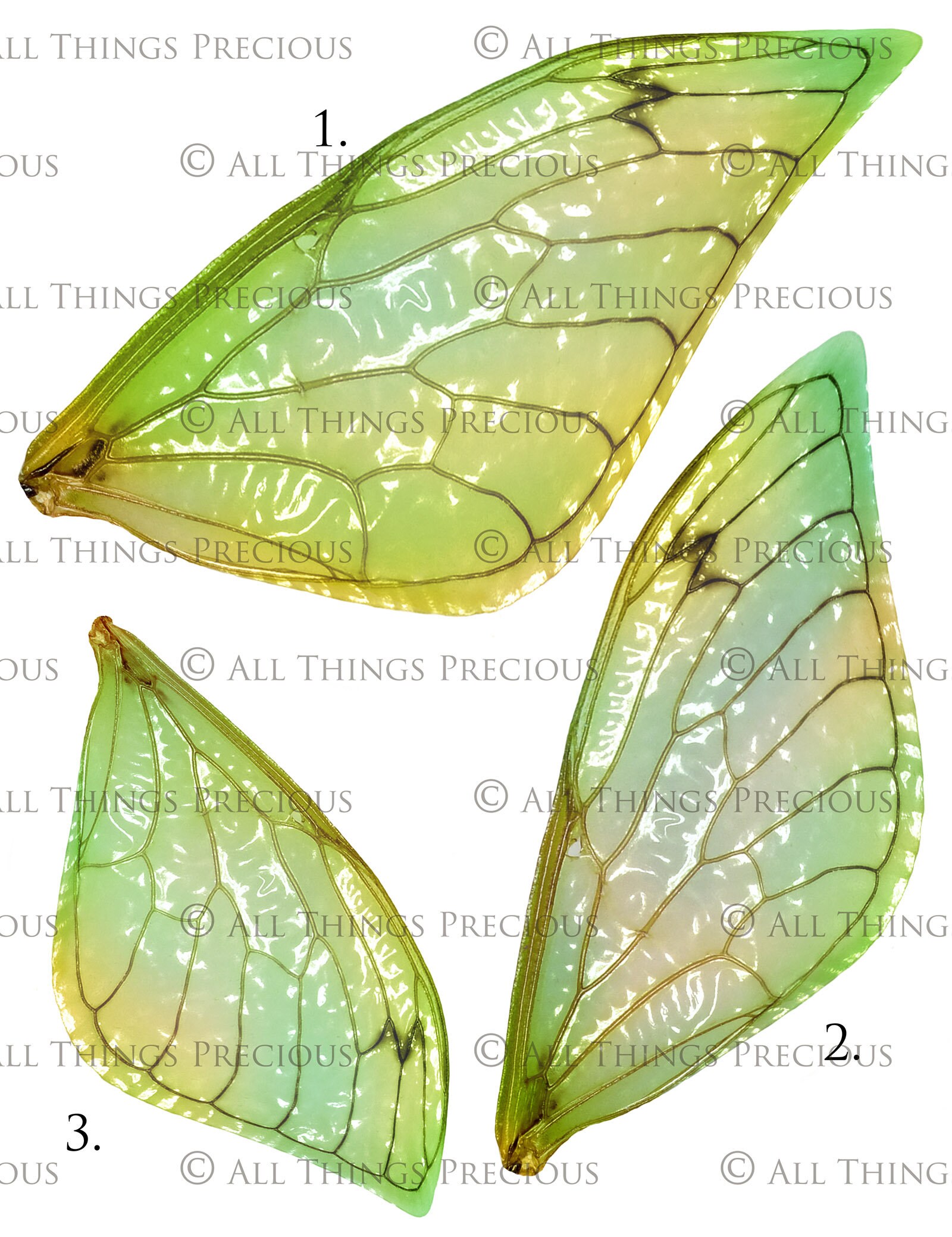 PRINTABLE FAIRY WINGS Set 2 Print Pattern Template Clipart | Etsy