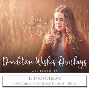 PHOTOSHOP OVERLAYS & BRUSHES - 18 Dandelion Wishes with 3 high res Ps Brushes / Photography Overlay, Photo Editing, High Resolution