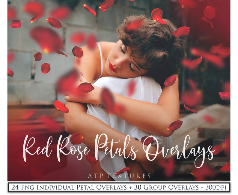 50 OVERLAYS PHOTOSHOP PNG Red Rose Petal Clipart Photo | Etsy