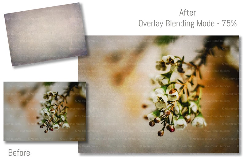 High resolution Textures. Fine Art Textures for photographers. Create digital backgrounds for Scrapbooking, Digital Paper, Printed Backdrops for studio or Photo overlays. Quality Texture Overlays. Grunge, Canvas, Vintage, Old Photo. ATP Textures