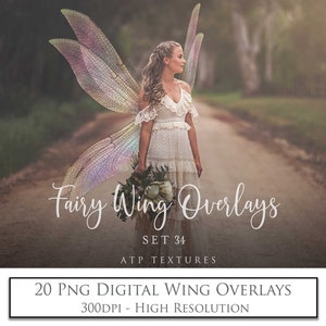 20 OVERLAYS Png FAIRY WINGS Set 34 / Digital, Faery Wing, Png Clipart, High Resolution, Photoshop Overlay, Photo Edit