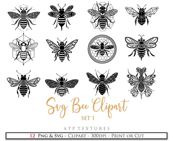 12 SVG BEE CLIPART, Silhouette - Set 1 - Png Clipart, Print, Cricut, Digital Scrapbooking, Sublimation, Art Tattoo Il_570xn