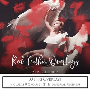 PHOTO OVERLAYS PNG - Red Feathers - Digital Overlay, Feather Clipart for Photoshop, High Res, Photoshop Art