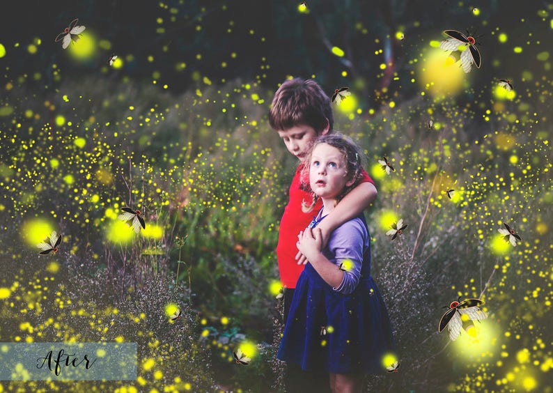 12 FIREFLY Overlays & 5 Png LIGHTENING BUGS Digital Etsy