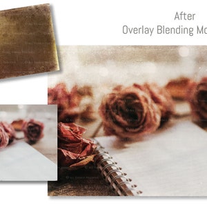 May include: A close-up of a blank notebook with dried roses on top. The notebook has a spiral binding and is on a wooden surface. The image has a vintage, faded look.