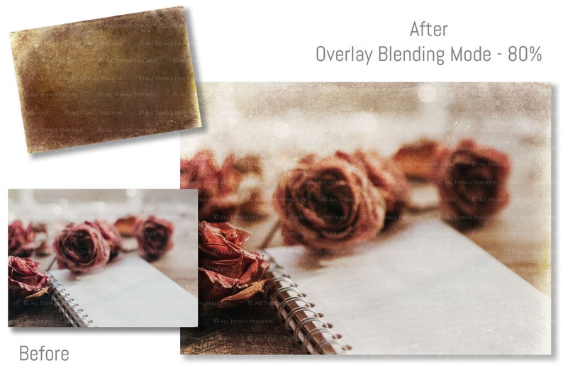 May include: A close-up of a blank notebook with dried roses on top. The notebook has a spiral binding and is on a wooden surface. The image has a vintage, faded look.
