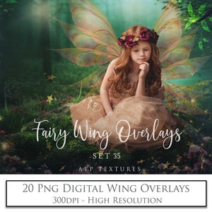 Png Digital Overlays Fairy WINGS Set 35  Photo Overlay, High Resolution, Photoshop, Scrapbooking Clipart