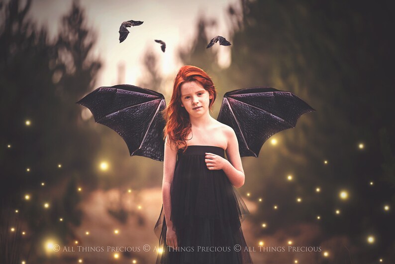 Digital Overlays for Photographers. Fairy Wings. Fairy Wing Overlays. High resolution, fine art digital assets for creating fantasy art. Magical transparent Png Overlay. See through real wings for authentic effects. Bundle. Real Butterfly Colourful.