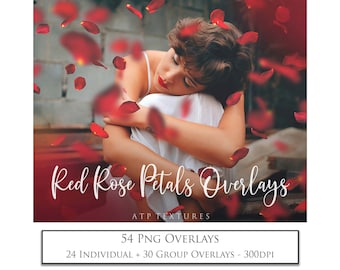 50 OVERLAYS PHOTOSHOP PNG - Red Rose Petal Clipart - Photo Overlay, Digital Scrapbooking, Fine Art, Photo Editing, Photography Edit