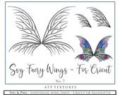 Il_170x135