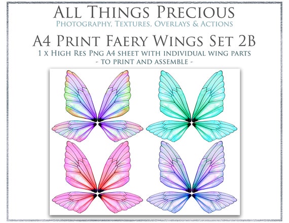 Vintage Floral BUTTERFLY CLIPART PNG Set 4  Butterflies Card Making Wall Print Digital Scrapbooking Scrapbook Old Masters Flowers