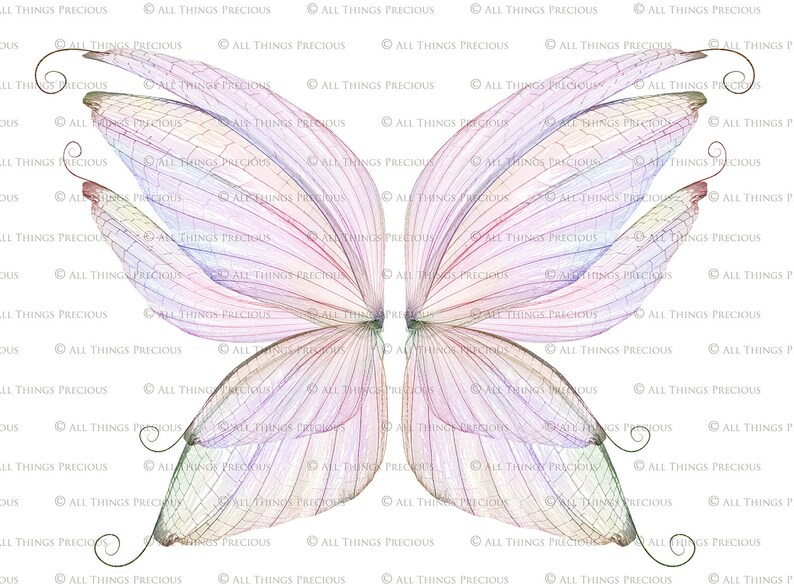 Digital Overlays for Photographers. Fairy Wings. Fairy Wing Overlays. High resolution, fine art digital assets for creating fantasy art. Magical transparent Png Overlay. See through real wings for authentic effects. Bundle. Real Butterfly Colourful.