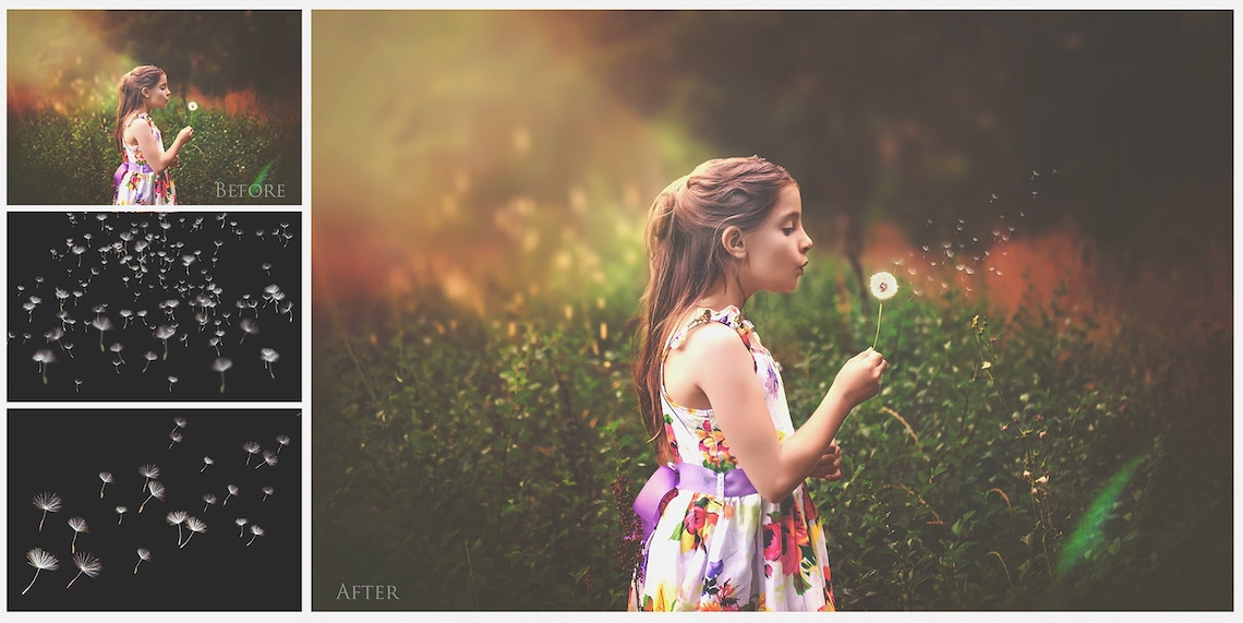 18 DANDELION Wishes OVERLAYS and 3 high res Photoshop BRUSHES image 9