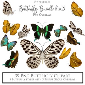 39 SCHMETTERLING OVERLAYS Set 3 - Digitales Overlay, Fine Art Fotografie, Scrapbooking, Photoshop, Schmetterlinge Kunst, digitale Clipart, Fotobearbeitung