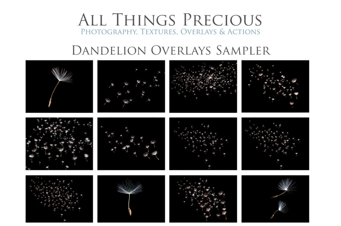 18 DANDELION Wishes OVERLAYS and 3 high res Photoshop BRUSHES image 2