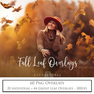 60 superpositions de feuilles d'automne, superposition de feuilles d'automne PNG, photographie, cliparts scrapbooking numérique, haute résolution, Photoshop, retouche photo