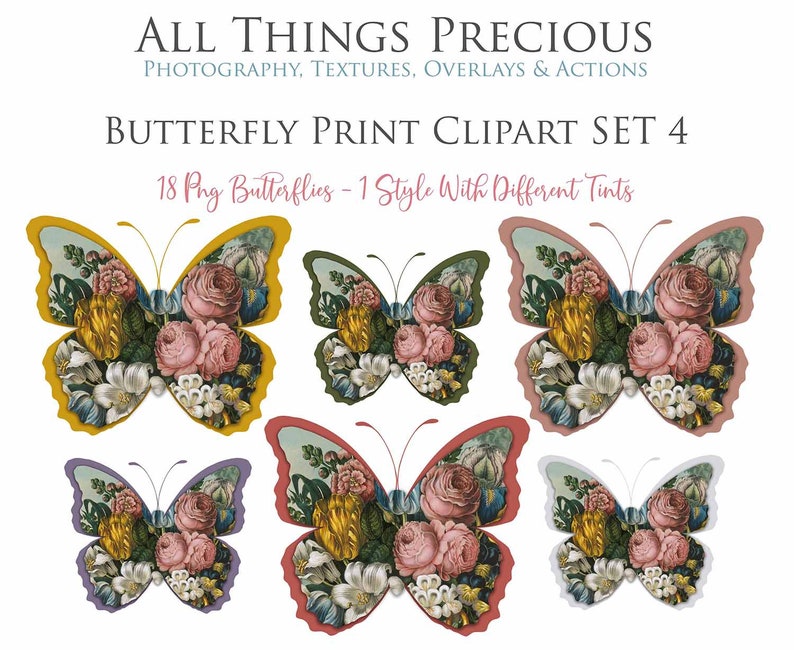 Vintage Floral BUTTERFLY CLIPART PNG Set 4 Butterflies Card Making Wall Print Digital Scrapbooking Scrapbook Old Masters Flowers