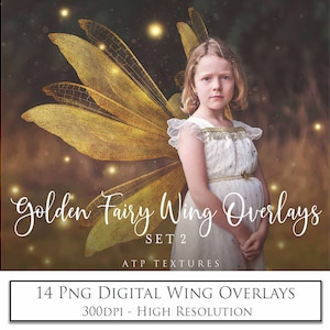 Png OVERLAYS - 14 Gold FAIRY WINGS, Set 2 / Angel Wing, High Resolution, Digital Photography, Overlay Photoshop, Scrapbook Clipart