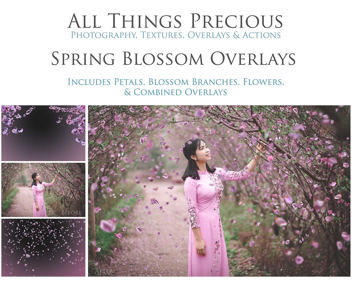 40 SPRING BLOSSOM Overlays / Photoshop Overlays Falling image 0