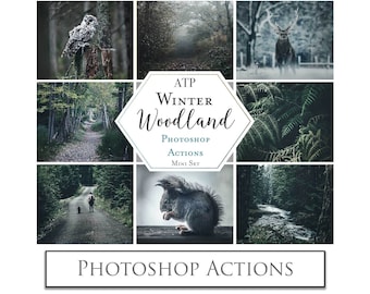 PHOTOSHOP Actions - PS Atn Action file for Photography. WOODLAND.  Digital Edit, Graphic assets, Photo Filters, Colour Tints. Atp Textures.